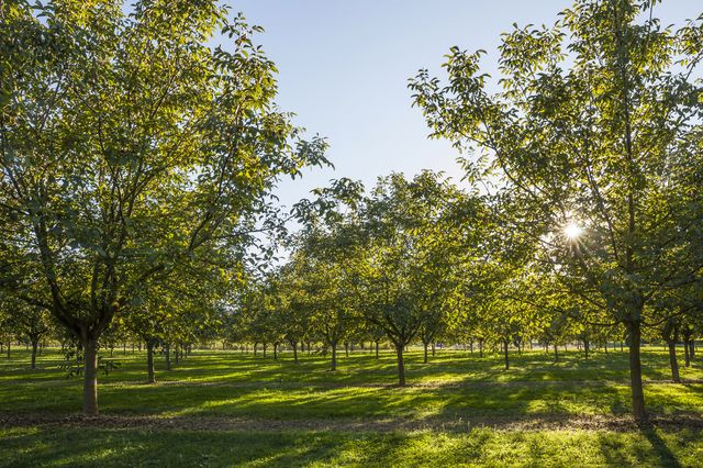 Retrouvez les présentations du projet Greenfruit