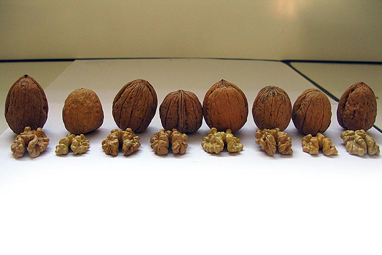 Variétés