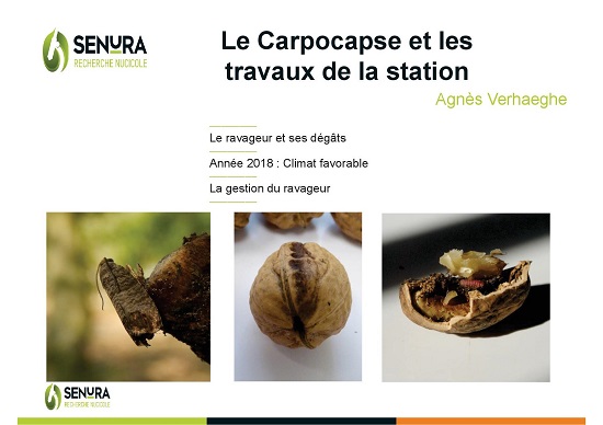 carpocapse et  travaux de la station présentation AG 2019