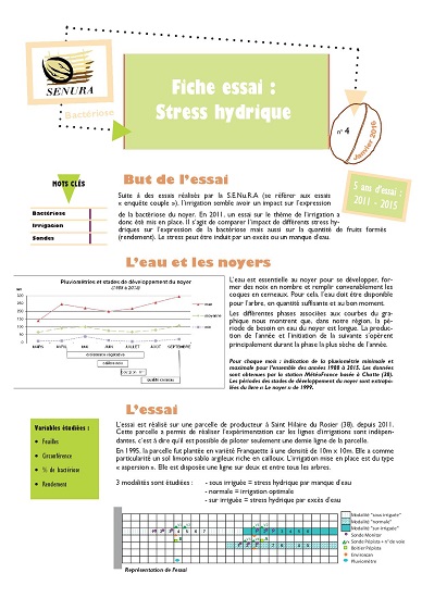 bacteriose : stress hydrique
