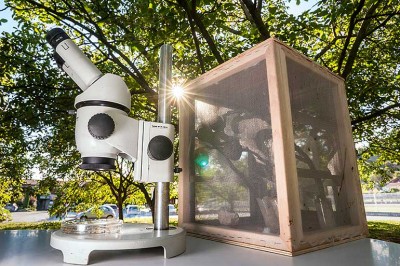 Activités et missions