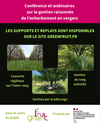 bandes pièges cartonnées